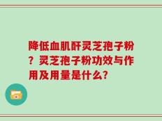 降低血肌酐灵芝孢子粉？灵芝孢子粉功效与作用及用量是什么？