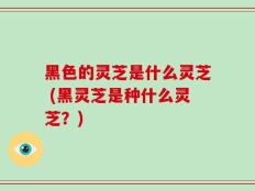 黑色的灵芝是什么灵芝 (黑灵芝是种什么灵芝？)