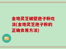 金地灵芝破壁孢子粉吃法(金地灵芝孢子粉的正确食用方法)