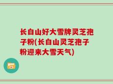 长白山好大雪牌灵芝孢子粉(长白山灵芝孢子粉迎来大雪天气)