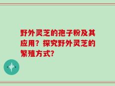 野外灵芝的孢子粉及其应用？探究野外灵芝的繁殖方式？