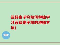 苔藓孢子粉如何种植学习苔藓孢子粉的种植方法)