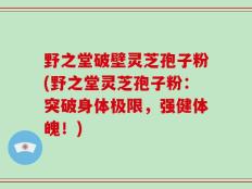 野之堂破壁灵芝孢子粉(野之堂灵芝孢子粉：突破身体极限，强健体魄！)