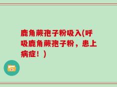 鹿角蕨孢子粉吸入(呼吸鹿角蕨孢子粉，患上病症！)
