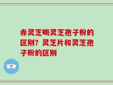 赤灵芝喝灵芝孢子粉的区别？灵芝片和灵芝孢子粉的区别