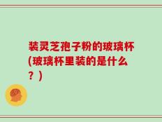 装灵芝孢子粉的玻璃杯(玻璃杯里装的是什么？)