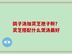 鸽子汤加灵芝孢子粉？灵芝搭配什么煲汤最好