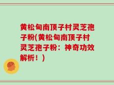 黄松甸南顶子村灵芝孢子粉(黄松甸南顶子村灵芝孢子粉：神奇功效解析！)