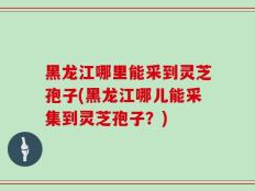 黑龙江哪里能采到灵芝孢子(黑龙江哪儿能采集到灵芝孢子？)