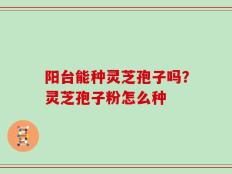 阳台能种灵芝孢子吗？灵芝孢子粉怎么种