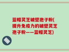 蓝帽灵芝破壁孢子粉(提升免疫力的破壁灵芝孢子粉——蓝帽灵芝)