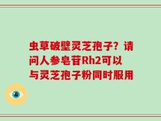 虫草破壁灵芝孢子？请问人参皂苷Rh2可以与灵芝孢子粉同时服用