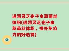 通慧灵芝孢子虫草菌丝体粉(通慧灵芝孢子虫草菌丝体粉，提升免疫力的好选择)