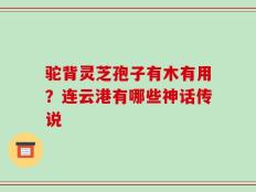 驼背灵芝孢子有木有用？连云港有哪些神话传说