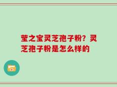 莹之宝灵芝孢子粉？灵芝孢子粉是怎么样的