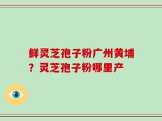鲜灵芝孢子粉广州黄埔？灵芝孢子粉哪里产