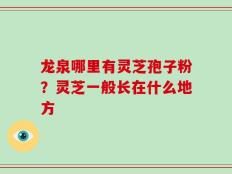 龙泉哪里有灵芝孢子粉？灵芝一般长在什么地方