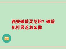 西安破壁灵芝粉？破壁机打灵芝怎么做