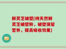 鲜灵芝破壁(纯天然鲜灵芝破壁粉，破壁保留营养，提高吸收效果)