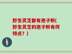 野生灵芝都有孢子粉(野生灵芝的孢子粉有何特点？)