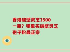香港破壁灵芝3500一瓶？哪里买破壁灵芝孢子粉最正宗