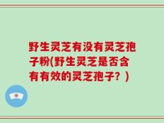 野生灵芝有没有灵芝孢子粉(野生灵芝是否含有有效的灵芝孢子？)