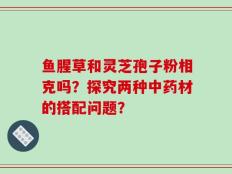 鱼腥草和灵芝孢子粉相克吗？探究两种中药材的搭配问题？