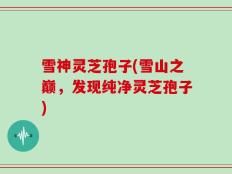 雪神灵芝孢子(雪山之巅，发现纯净灵芝孢子)