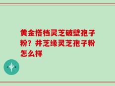 黄金搭档灵芝破壁孢子粉？井芝缘灵芝孢子粉怎么样