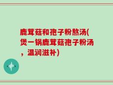 鹿茸菇和孢子粉熬汤(煲一锅鹿茸菇孢子粉汤，温润滋补)