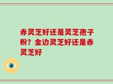 赤灵芝好还是灵芝孢子粉？金边灵芝好还是赤灵芝好