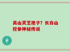 高山灵芝孢子？长白山挖参神秘传说