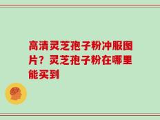 高清灵芝孢子粉冲服图片？灵芝孢子粉在哪里能买到