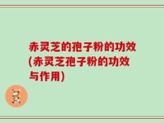 赤灵芝的孢子粉的功效(赤灵芝孢子粉的功效与作用)