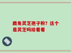 鹿角灵芝孢子粉？这个是灵芝吗给看看