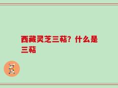 西藏灵芝三萜？什么是三萜