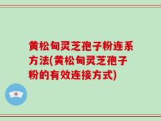 黄松甸灵芝孢子粉连系方法(黄松甸灵芝孢子粉的有效连接方式)