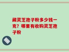 藏灵芝孢子粉多少钱一克？哪里有收购灵芝孢子粉