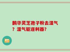 鹊华灵芝孢子粉去湿气？湿气驱逐利器？
