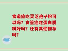 食道癌吃灵芝孢子粉可以吗？食管癌吃蛋白质粉好吗？还有其他推荐吗？