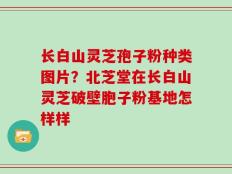长白山灵芝孢子粉种类图片？北芝堂在长白山灵芝破壁胞子粉基地怎样样