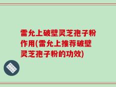 雷允上破壁灵芝孢子粉作用(雷允上推荐破壁灵芝孢子粉的功效)