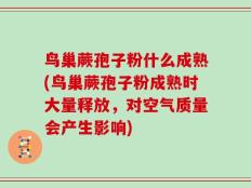 鸟巢蕨孢子粉什么成熟(鸟巢蕨孢子粉成熟时大量释放，对空气质量会产生影响)