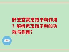 野芝堂灵芝孢子粉作用？解析灵芝孢子粉的功效与作用？