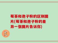 莓茶和孢子粉的区别图片(莓茶和孢子粉的差异一张图片告诉你)