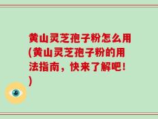 黄山灵芝孢子粉怎么用(黄山灵芝孢子粉的用法指南，快来了解吧！)