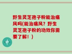 野生灵芝孢子粉能治痛风吗(能治痛风？野生灵芝孢子粉的功效你需要了解！)