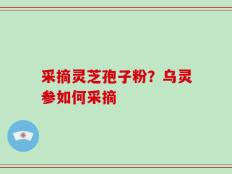 采摘灵芝孢子粉？乌灵参如何采摘