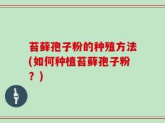苔藓孢子粉的种殖方法(如何种植苔藓孢子粉？)