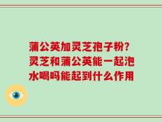 蒲公英加灵芝孢子粉？灵芝和蒲公英能一起泡水喝吗能起到什么作用